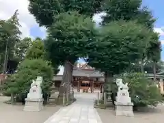 亀ケ池八幡宮の狛犬