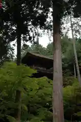 金剛輪寺の建物その他