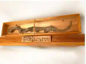瀧宮神社(広島県)(2025年01月17日(金) 13時24分00秒投稿)