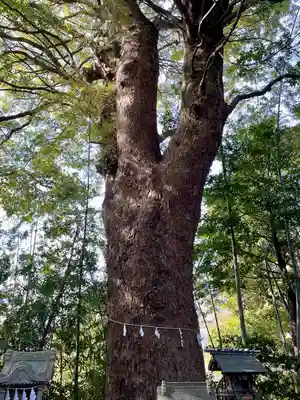 大稲荷神社(神奈川県)