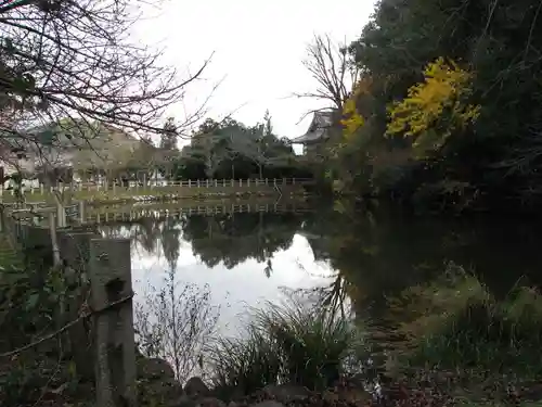 大嶋神社奥津嶋神社(滋賀県)