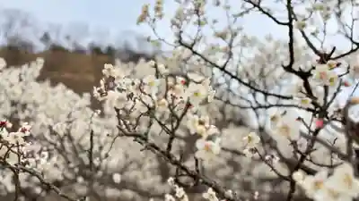 神前神社(岡山県)
