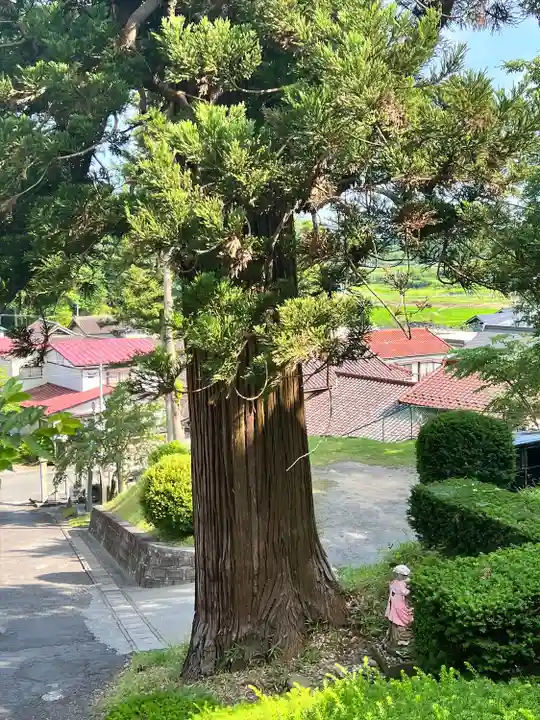観音寺(宮城県)