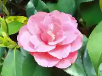 椿宮神明社(愛知県)