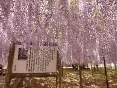 長泉寺の景色