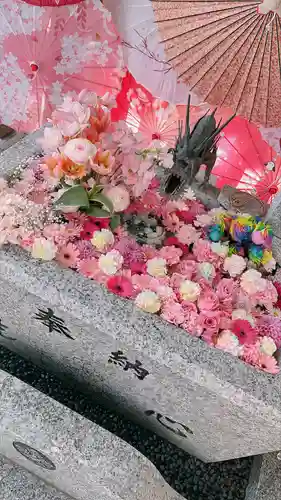 札幌諏訪神社の手水