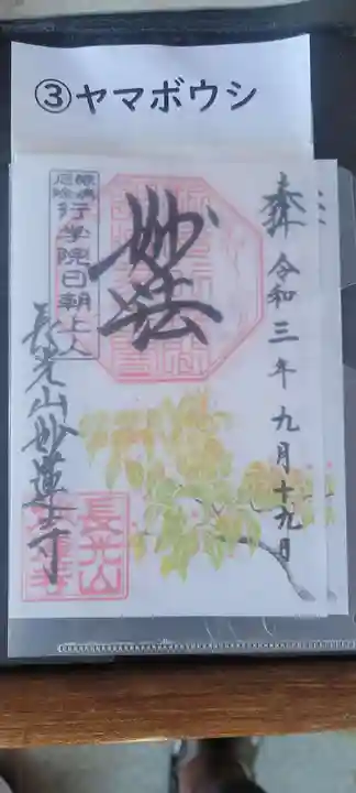 妙蓮寺の御朱印