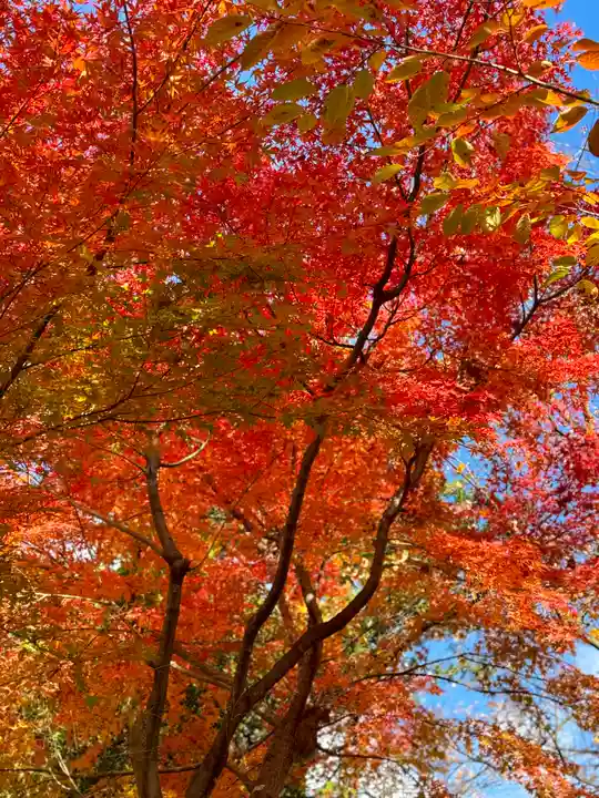 伊達神社(北海道)