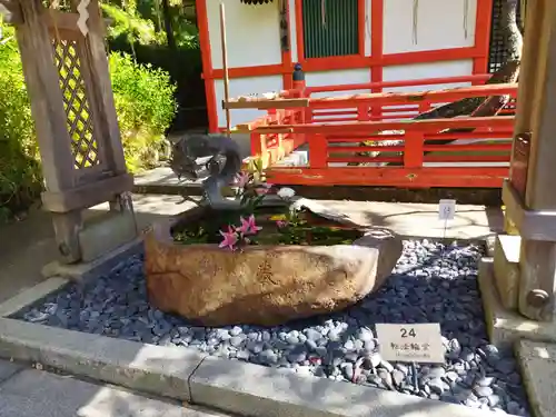 鞍馬寺(京都府)