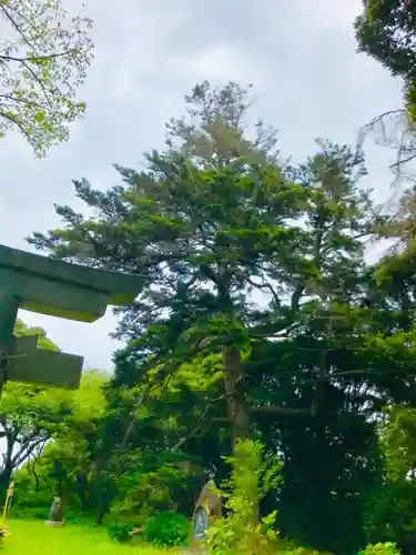 愛宕神社の自然