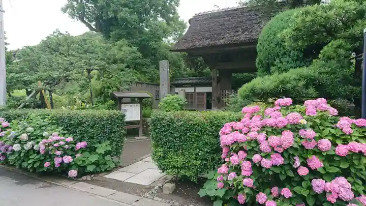 極楽寺(霊鷲山感應院極楽律寺)の庭園