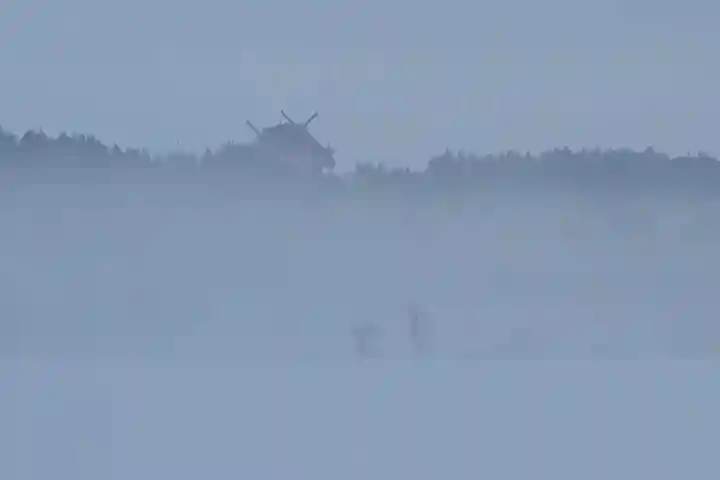 宝徳山稲荷大社(新潟県)