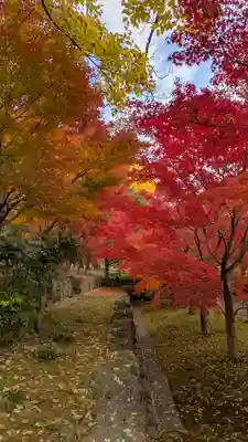  智積院(京都府)