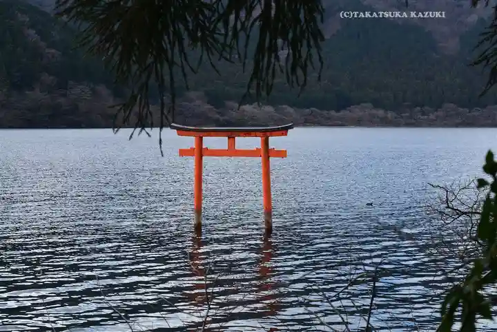 九頭龍神社本宮の鳥居