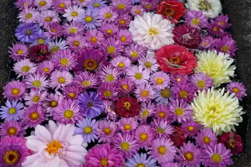 大鏑神社の手水舎