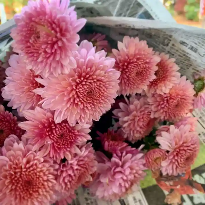 滑川神社 - 仕事と子どもの守り神の手水舎