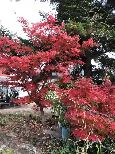 菅原天満宮（菅原神社）の庭園