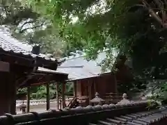 大木神社の本殿