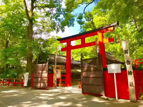 河合神社（鴨川合坐小社宅神社）の鳥居