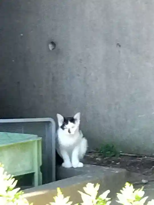 五郎兵衛稲荷神社(茨城県)