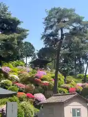 塩船観音寺(東京都)