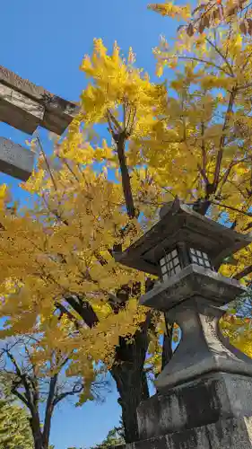 豊国神社の建物その他