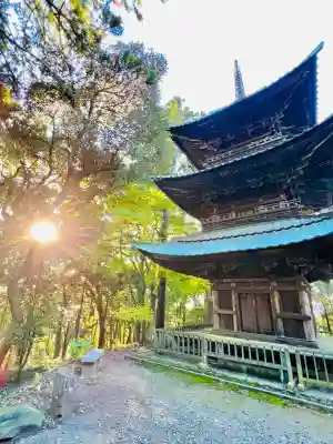 西明寺の{uncategorized: "未分類", other: "その他", undefined: "問題あり", building: "その他建物", grave: "お墓", sacred_gate: "鳥居", guardian: "狛犬", statue: "像", buddha: "仏像", history: "歴史", nature: "自然", garden: "庭園", animal: "動物", pagoda: "塔", temizu: "手水舎", mountain_gate: "山門・神門", sanctuary: "本殿・本堂", subordinate: "末社・摂社", art: "芸術", scenery: "景色", jizo: "地蔵", ema: "絵馬", goshuin: "御朱印", omikuji: "おみくじ", items: "授与品その他", amulet: "お守り", goshuincho: "御朱印帳", eats: "食事", festival: "お祭り", votive_dance: "神楽", shichigosan: "七五三参", wedding: "結婚式", experience: "体験その他", initially: "初詣", around: "周辺", anti_infection: "感染症対策"}