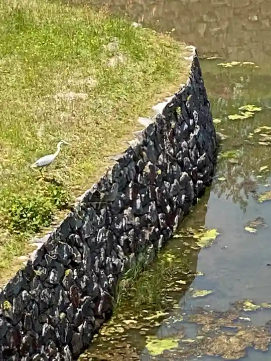 青山神社(兵庫県)