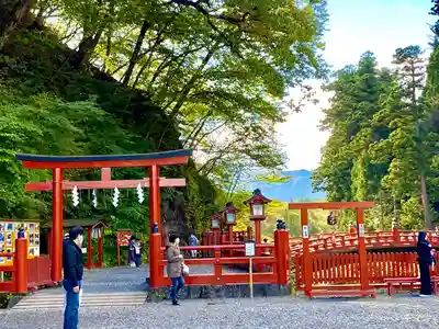 日光二荒山神社の鳥居