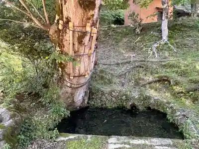 小江神社(兵庫県)