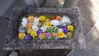 野見神社の手水舎