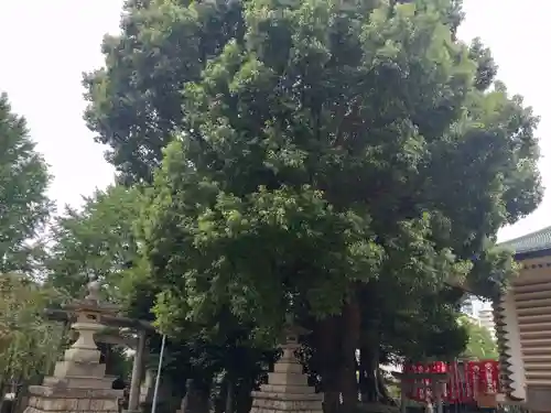 諏訪神社(東京都)