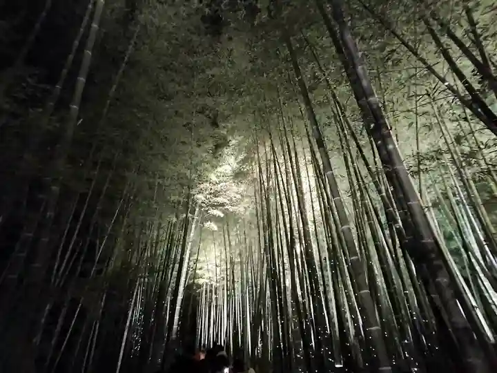 高台寺(高台寿聖禅寺・高臺寺)(京都府)