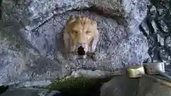 近津神社の手水