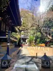 熊野神社(東京都)