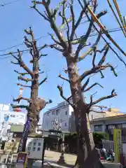 天祖神社(東京都)