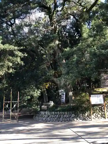 白羽神社の自然