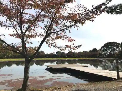 大覚寺の景色