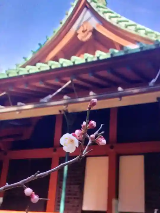 赤坂氷川神社(東京都)