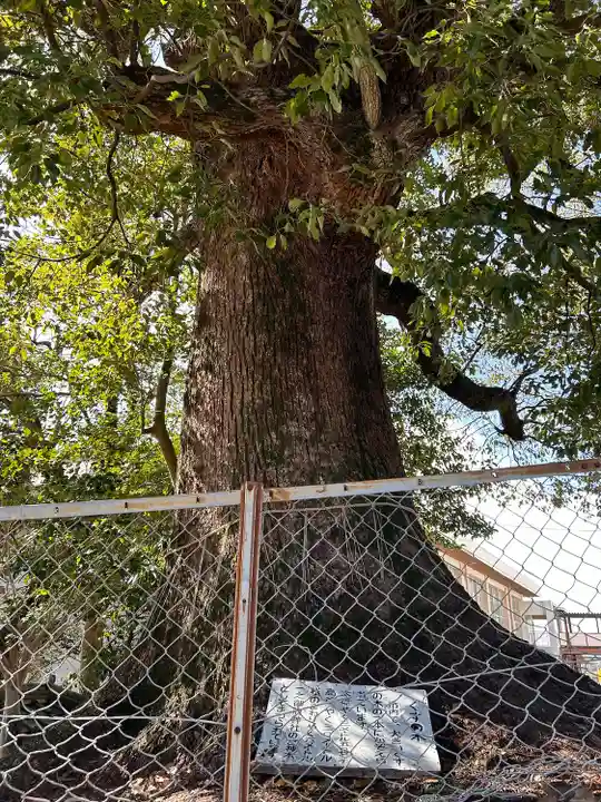 一之御前社(愛知県)