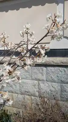 玉田神社(京都府)