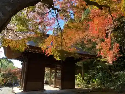 普門寺(切り絵御朱印発祥の寺)の山門・神門