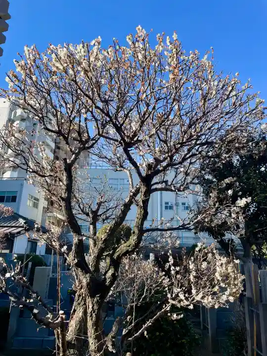 瑞泰寺の{uncategorized: "未分類", other: "その他", undefined: "問題あり", building: "その他建物", grave: "お墓", sacred_gate: "鳥居", guardian: "狛犬", statue: "像", buddha: "仏像", history: "歴史", nature: "自然", garden: "庭園", animal: "動物", pagoda: "塔", temizu: "手水舎", mountain_gate: "山門・神門", sanctuary: "本殿・本堂", subordinate: "末社・摂社", art: "芸術", scenery: "景色", jizo: "地蔵", ema: "絵馬", goshuin: "御朱印", omikuji: "おみくじ", items: "授与品その他", amulet: "お守り", goshuincho: "御朱印帳", eats: "食事", festival: "お祭り", votive_dance: "神楽", shichigosan: "七五三参", wedding: "結婚式", experience: "体験その他", initially: "初詣", around: "周辺", anti_infection: "感染症対策"}