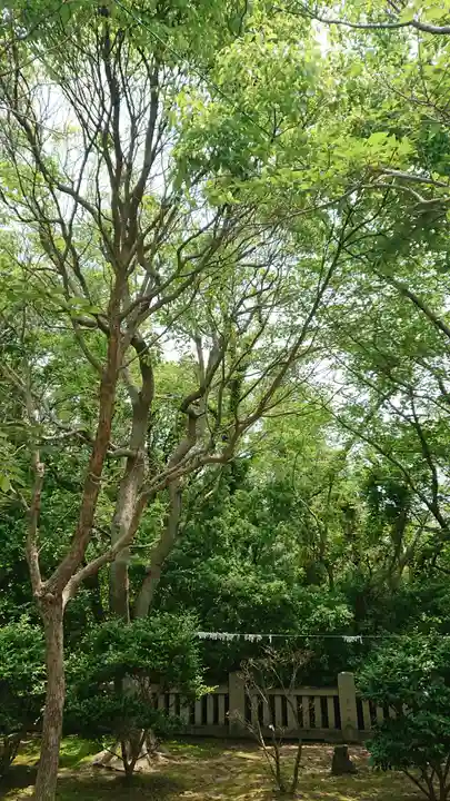 伊和都比売神社(兵庫県)