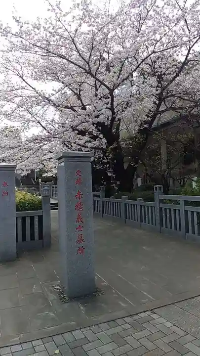 泉岳寺の自然