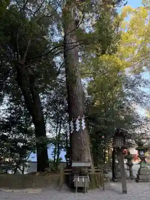 石上神宮(奈良県)