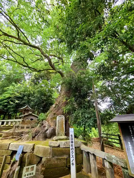 生目神社の自然
