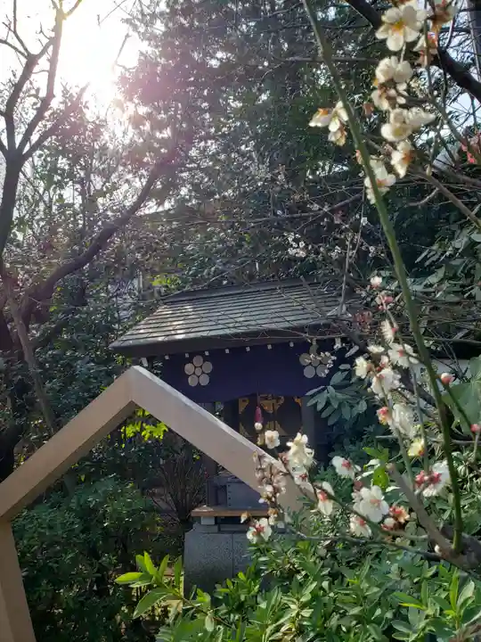 阿佐ヶ谷神明宮(東京都)