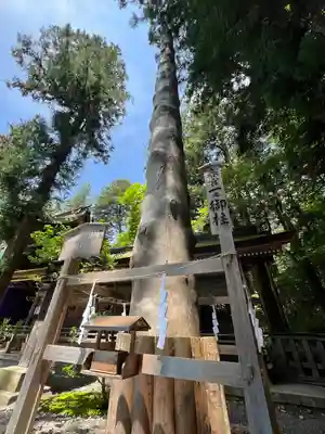 諏訪大社下社春宮(長野県)