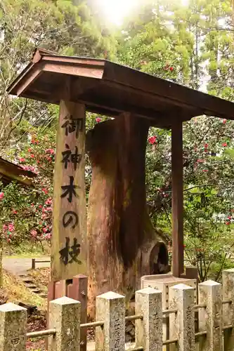 草部吉見神社(熊本県)